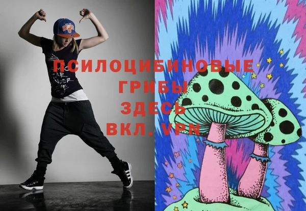 прущая мука Саяногорск